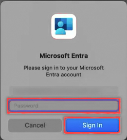 Screenshot of a Microsoft Entra sign in window.