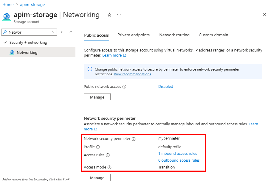 Screenshot of public access settings in the storage account in the portal.