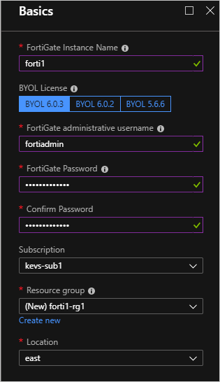 The Basics screen has values from the deployment parameters table entered in list and text boxes.