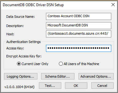 Screenshot of the domain name server (DNS) setup window.