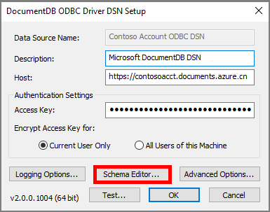 Screenshot that shows the Schema Editor button in the D S N Setup window.
