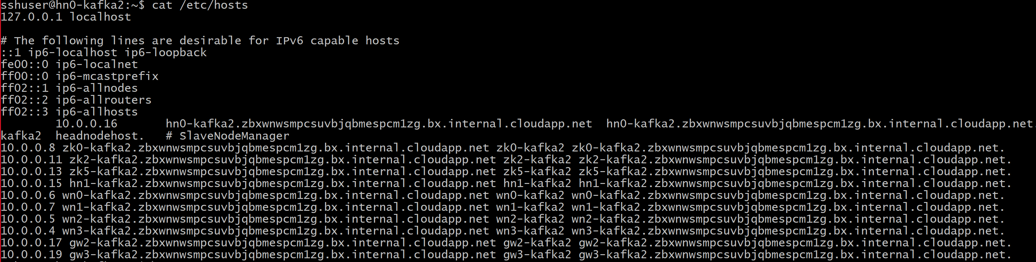 Screenshot showing hosts file output.