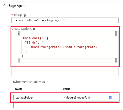 Screenshot that shows how to add create options and environment variables for local storage.