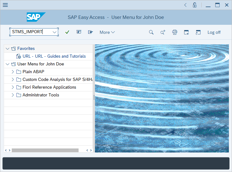 Screenshot of running the STMS import transaction.