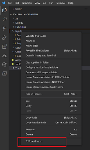 vscode add input