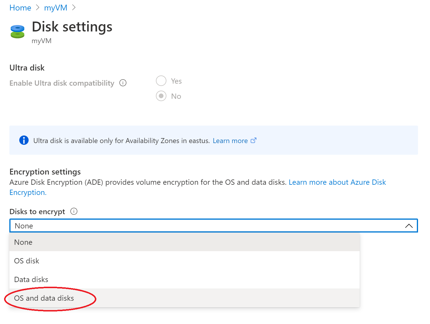 Screenshot that shows OS and data disks.