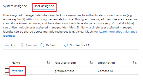 在门户中选择用户分配的托管标识。