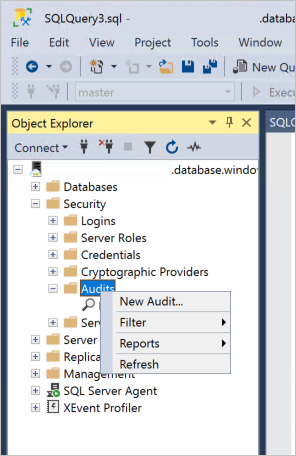 Screenshot showing how to Expand security and audit node.