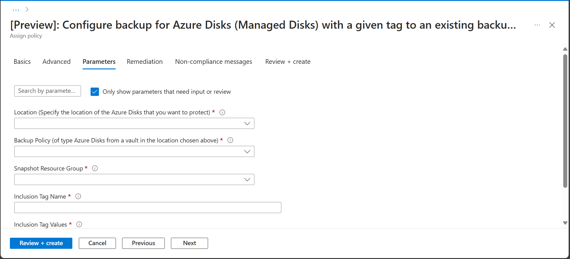 屏幕截图显示了“策略分配参数”窗格。