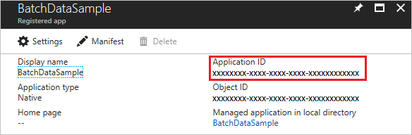 Azure 门户中显示的应用程序 ID 的屏幕截图。