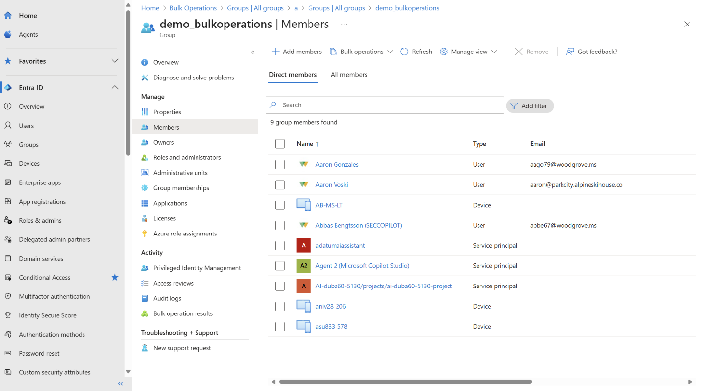 所选组的“成员”选项卡的屏幕截图，其中列出了用户和服务主体。