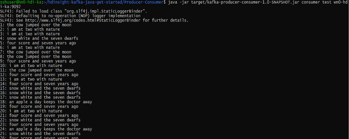 Screenshot showing Kafka consumer section.