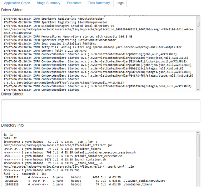 Apache Spark Eclipse 作业日志信息。