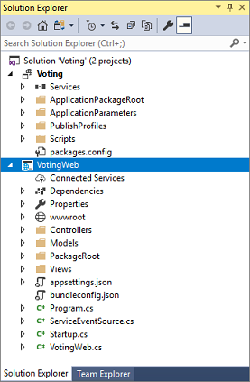 显示使用 ASP.NET Core Web API 服务创建应用程序后出现的解决方案资源管理器的屏幕截图。