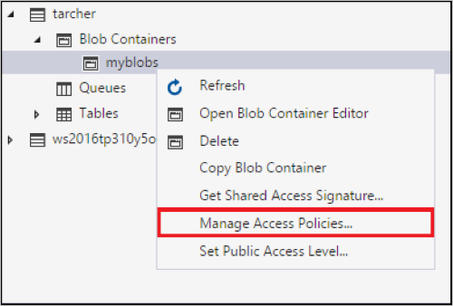 管理访问策略上下文菜单