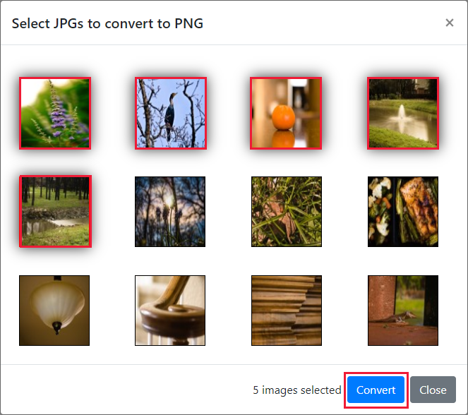 显示要转换的可用图像的屏幕截图，其中选择了五个图像。