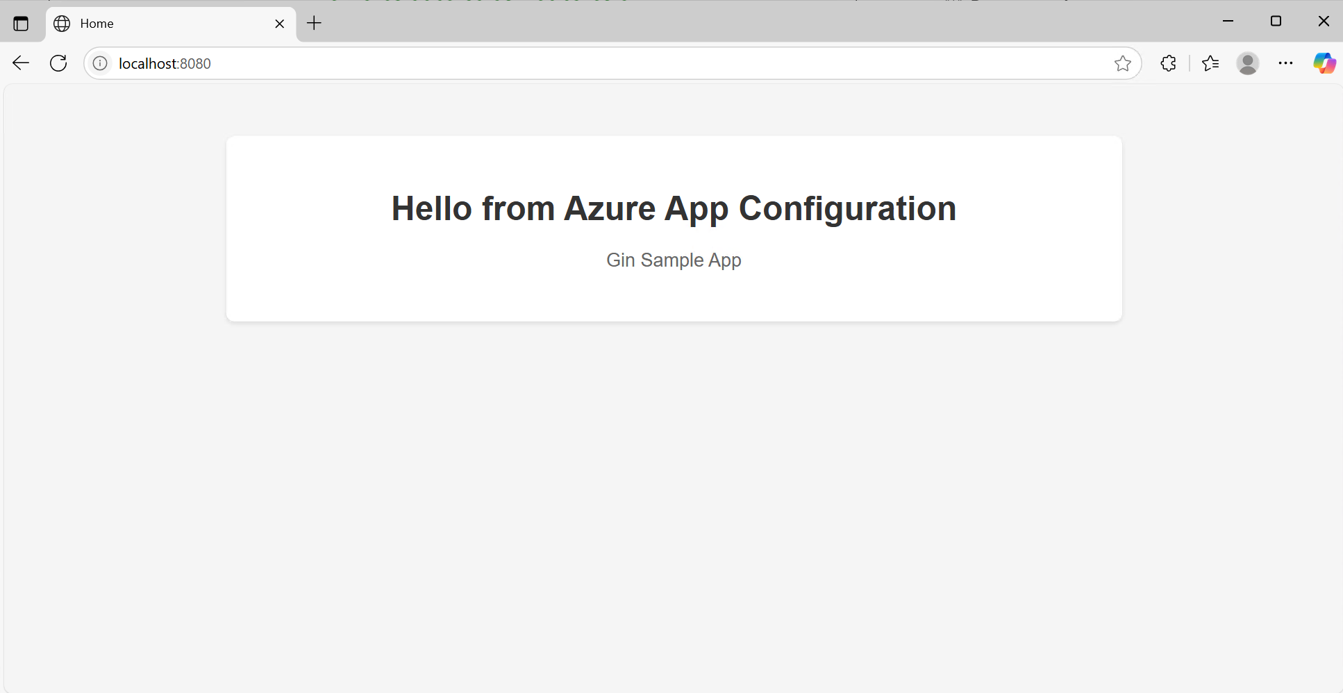 之前的 Gin Web 应用刷新的屏幕截图。