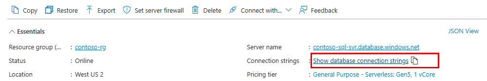 SQL 数据库概述页的 Azure 门户的屏幕截图。突出显示了“显示数据库连接字符串”链接。