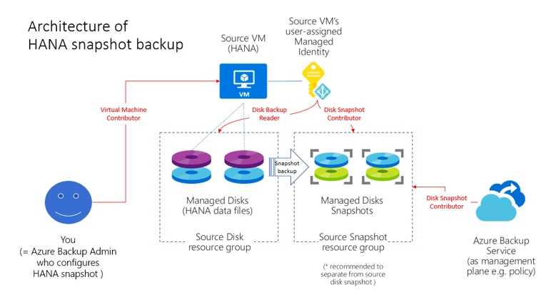 Diagram 显示SAP HANA数据库实例快照备份体系结构.