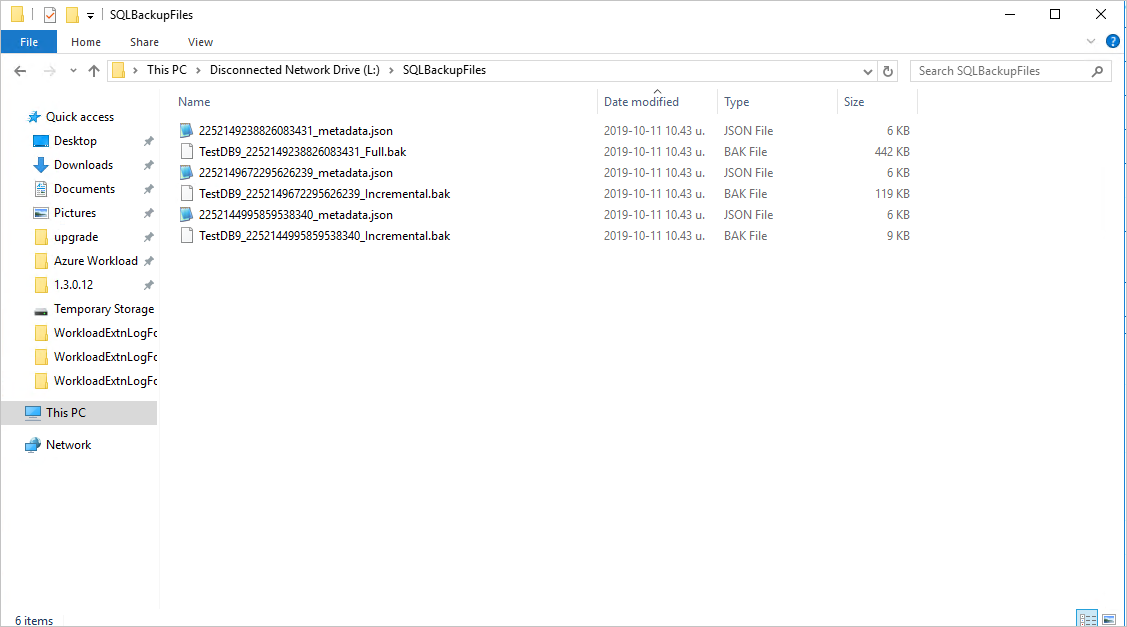 目标路径中的已恢复备份文件