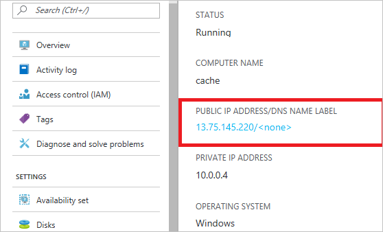 显示 Azure 门户中显示的虚拟机的公共 IP 地址的屏幕截图。