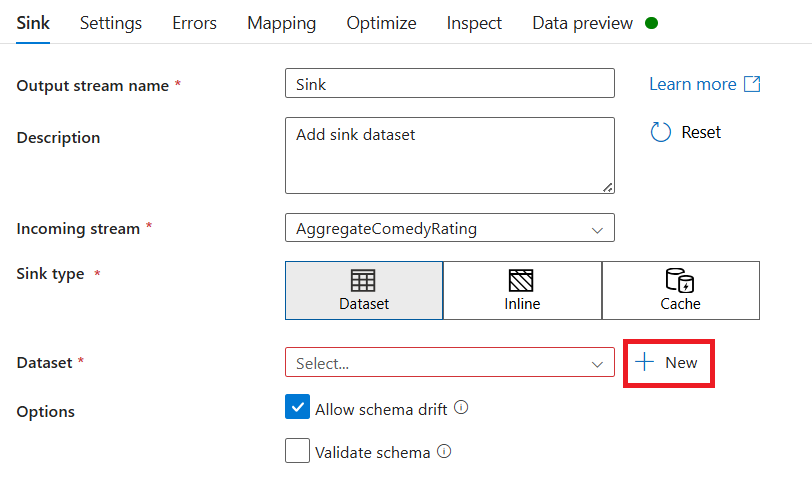 显示你可以在何处命名接收器并创建新接收器数据集的屏幕截图。