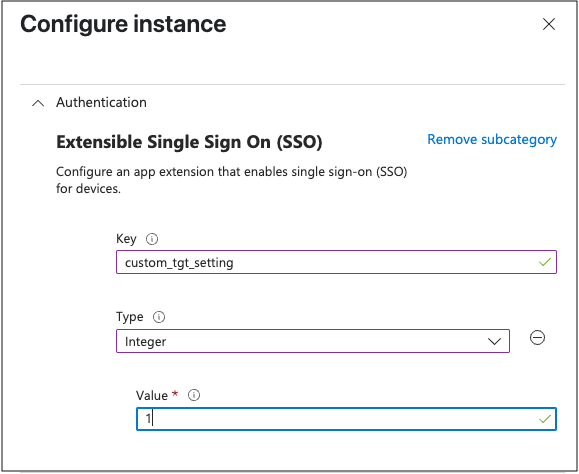 自定义 Kerberos TGT SSO 设置的屏幕截图。