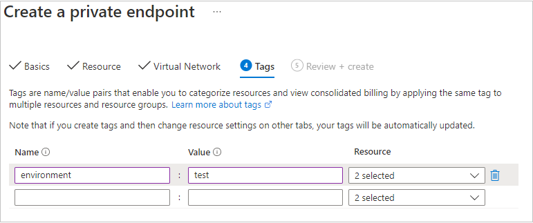 显示如何可以选择使用名称/值对来标记专用终结点以实现轻松分类的屏幕截图。