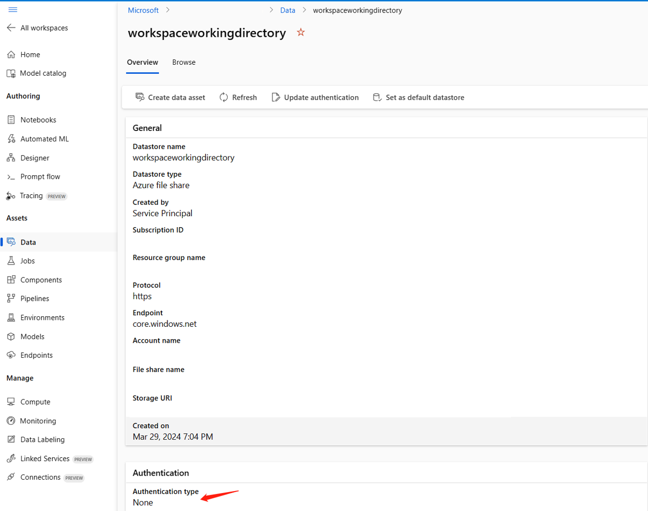 数据存储身份验证类型的屏幕截图。
