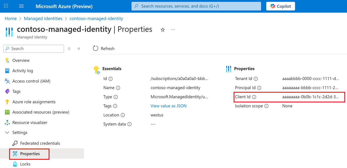 显示客户端 ID 位置的屏幕截图。