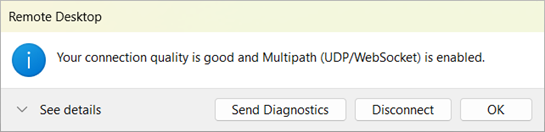 显示已启用 RDP 多路径的连接信息的屏幕截图。