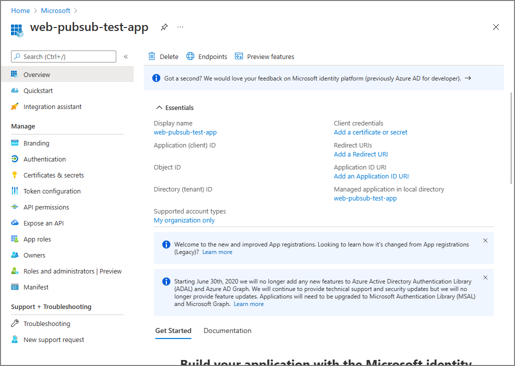 已注册应用程序的概述信息的屏幕截图。