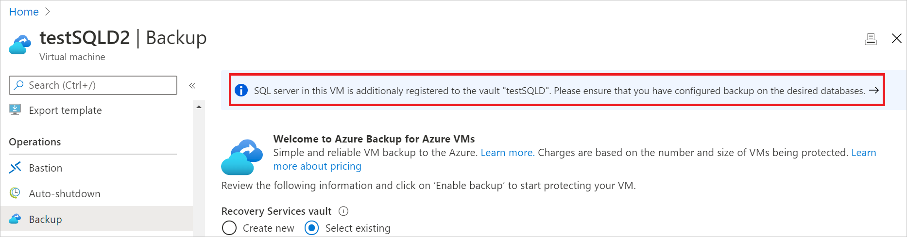 屏幕截图显示了标题栏中的库名称。