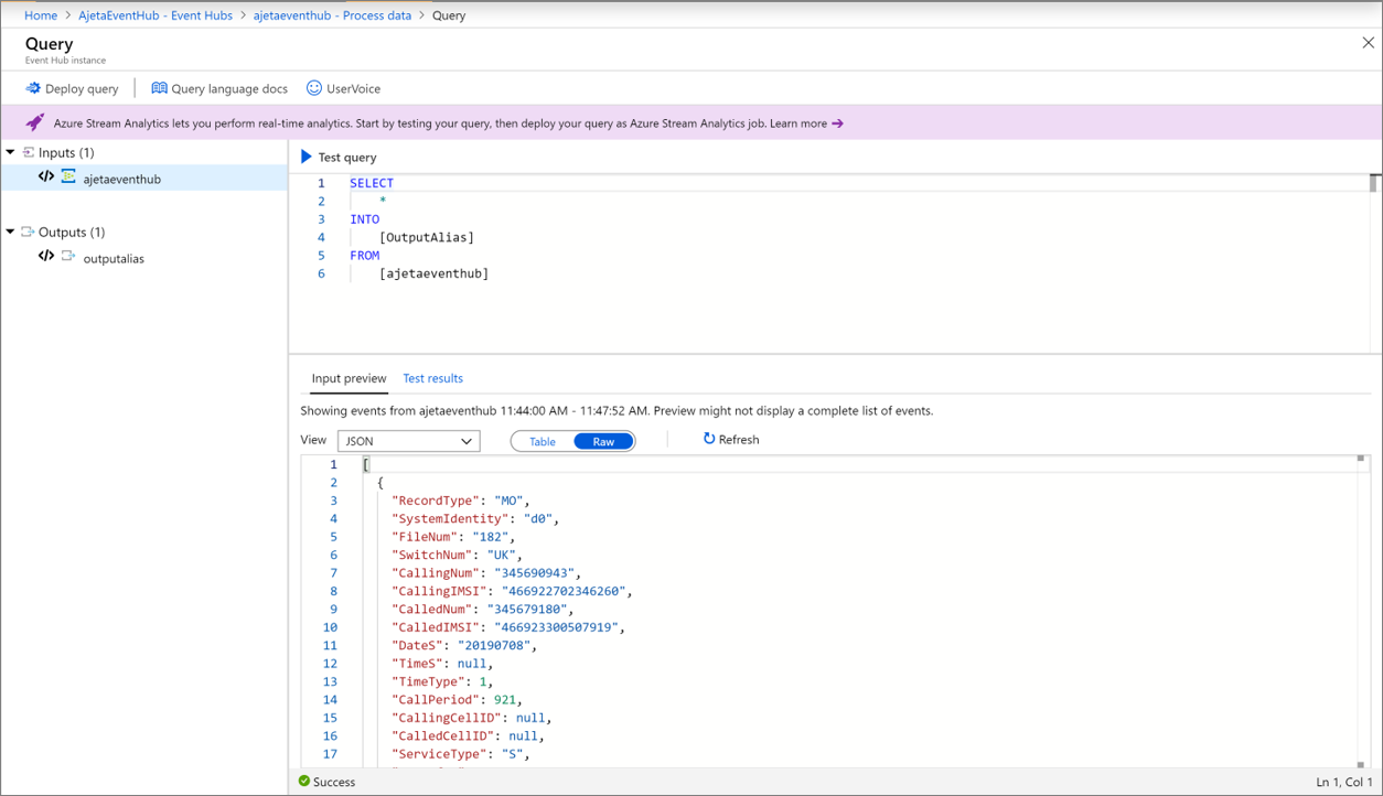 “处理数据”页面结果窗格中“输入预览”窗口的屏幕截图,其中的数据以原始格式显示。