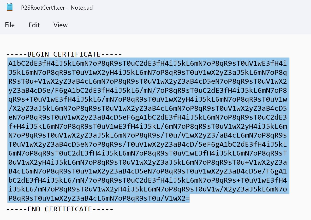 屏幕截图显示在记事本中打开的 CER 文件,其中突出显示了证书数据。
