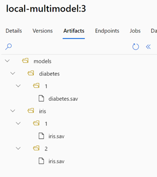 文件夹结构的屏幕截图,其中显示了已注册模型的模型项目。