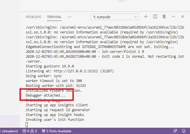 容器调试器附加的信息
