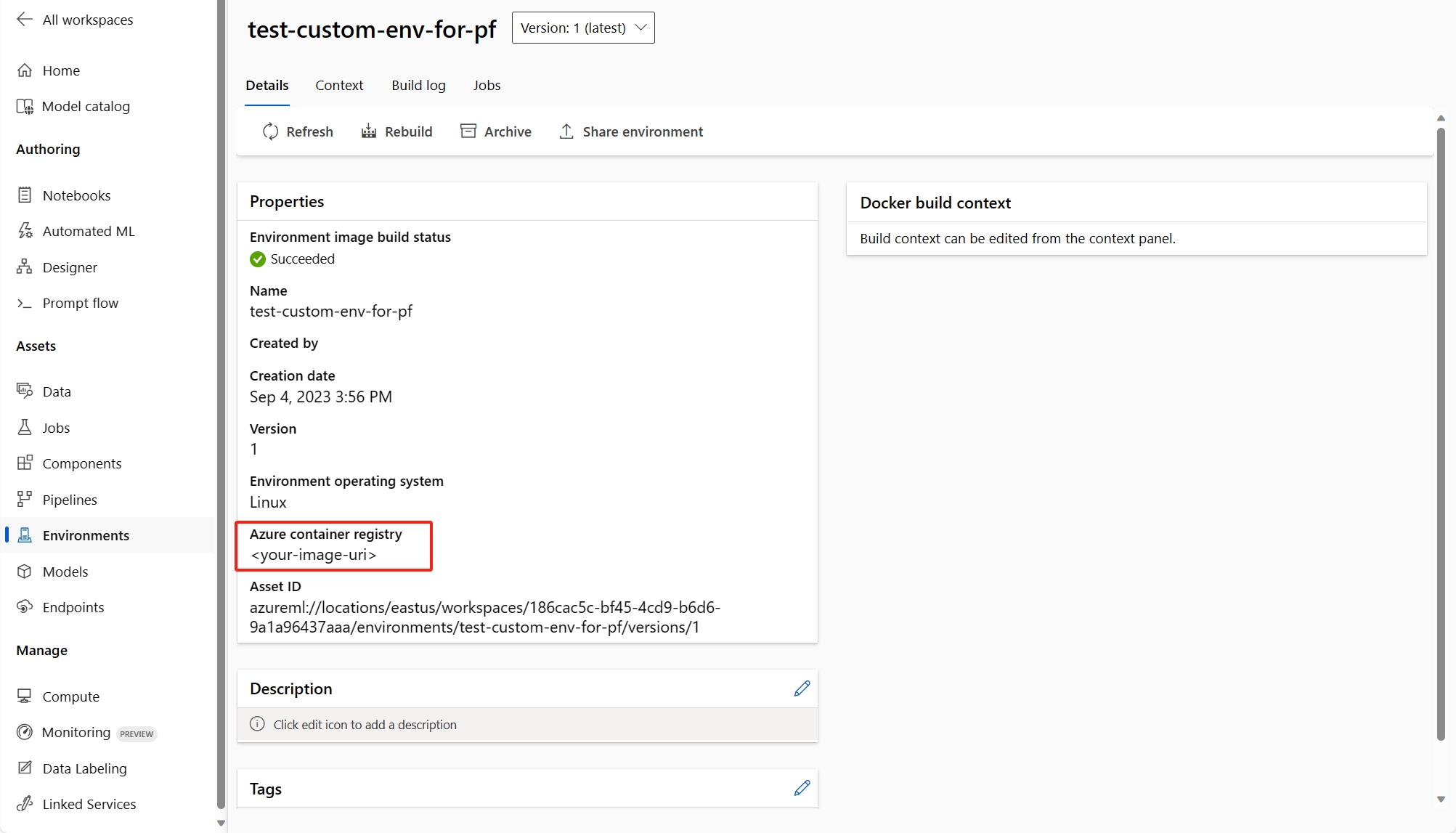 自定义环境详细信息页的屏幕截图。