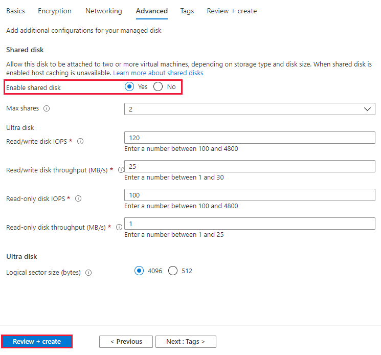 “高级”窗格的屏幕截图,其中“启用共享磁盘”已突出显示。