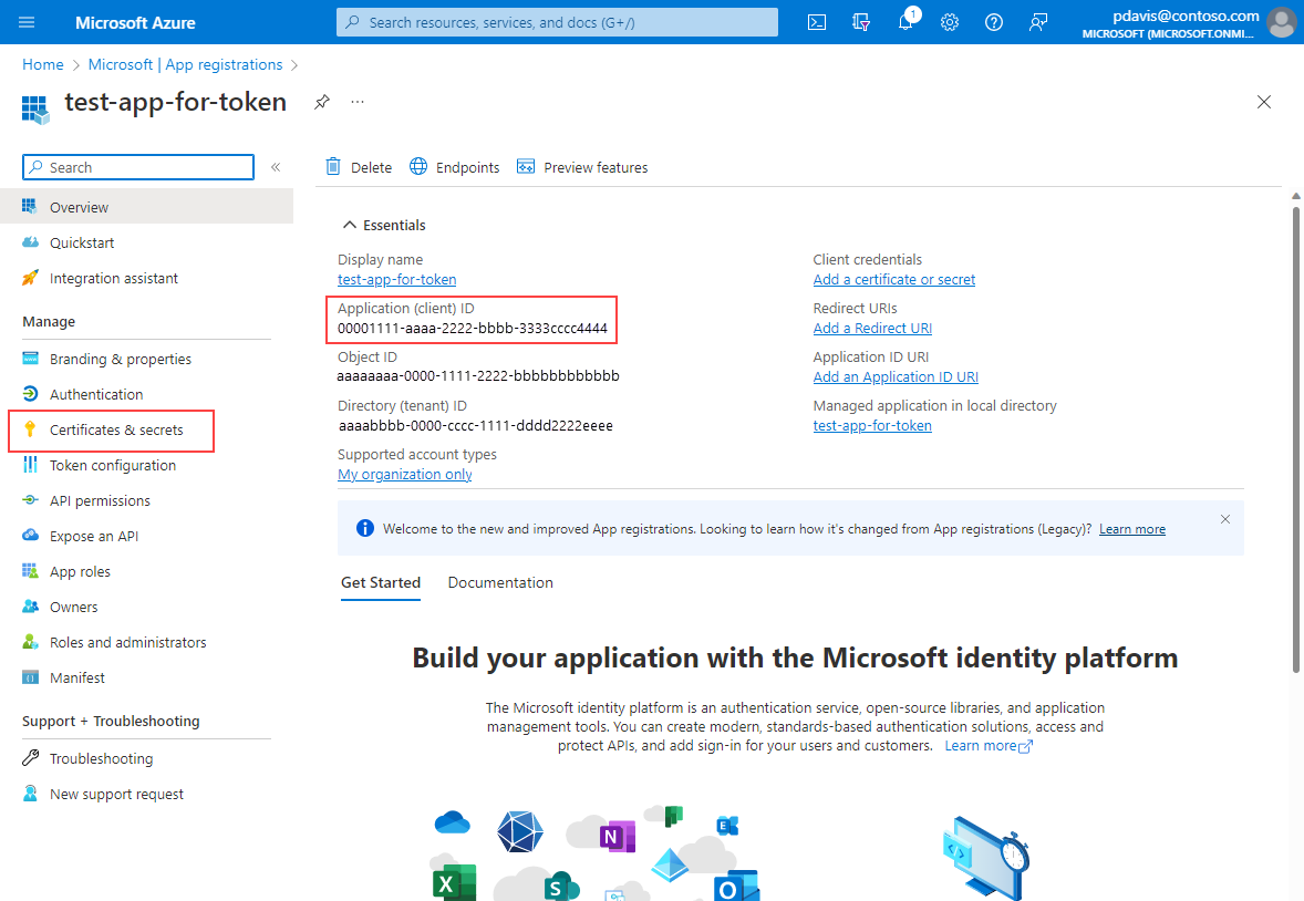 显示Microsoft Entra ID 中的应用注册概述页的屏幕截图。