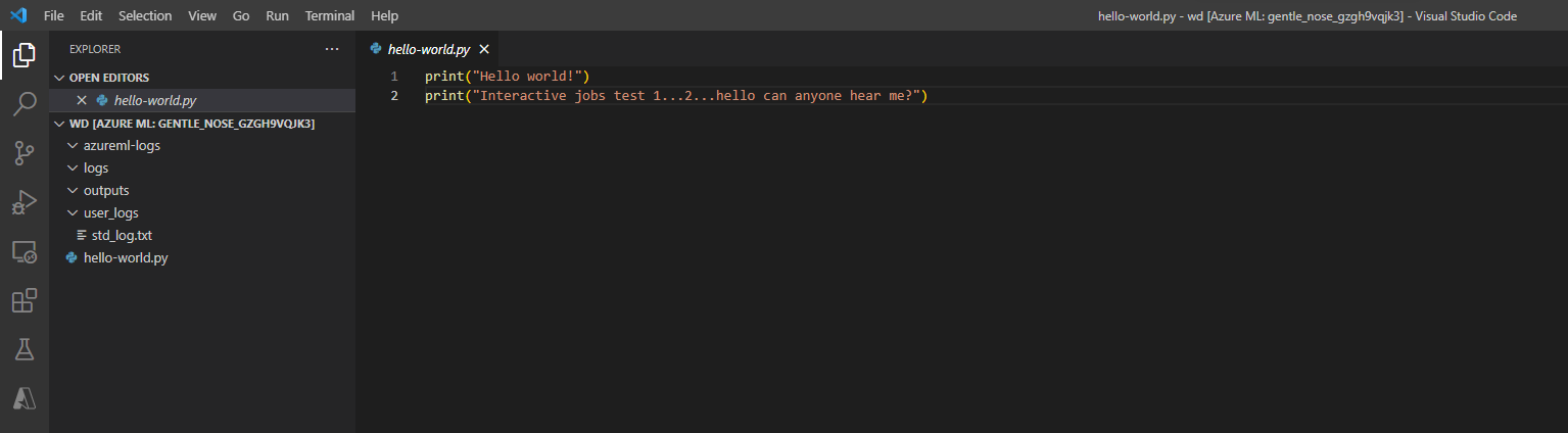 有关交互式作业的屏幕截图：首次打开时的 VS Code 面板。其中显示了为打印两行而创建的示例 python 文件。