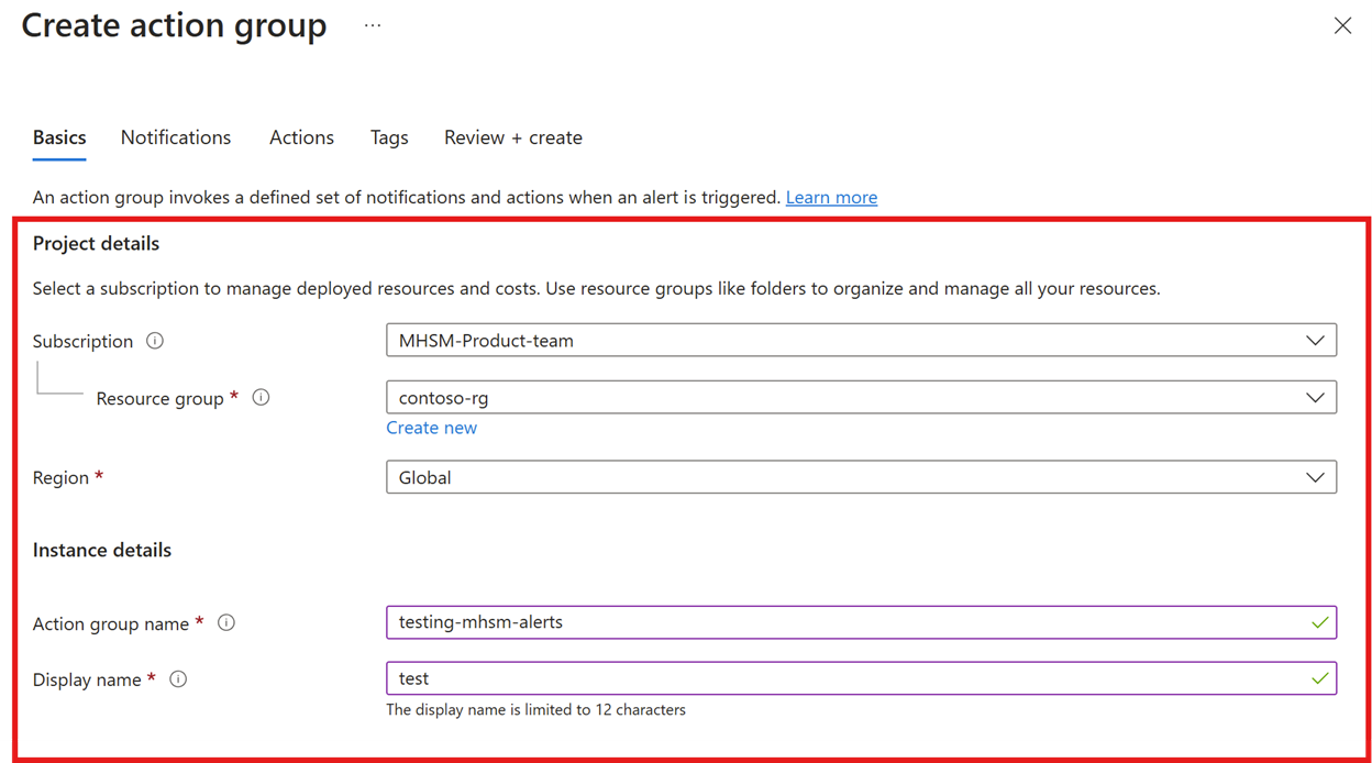 屏幕截图显示了如何输入“项目”和“实例”详细信息。