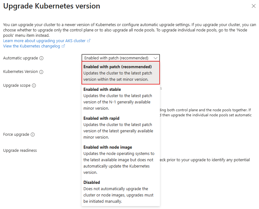 屏幕截图显示“升级版本”屏幕，其中的“自动升级”选项设置为“启用并包含补丁(推荐)”。