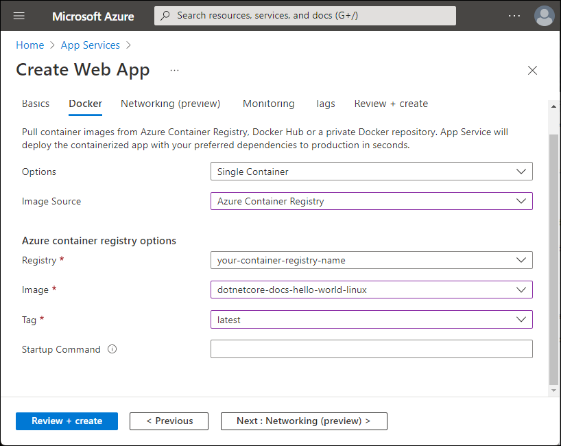 屏幕截图显示 Azure 容器注册表选项。