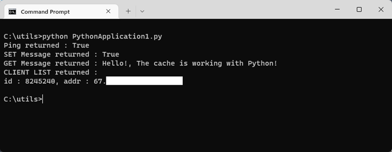 终端的屏幕截图，其中显示了用于测试缓存访问的 Python 脚本。