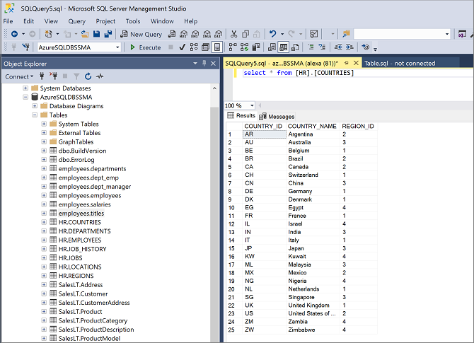 显示 SQL Server Management Studio 中的验证情况的屏幕截图。