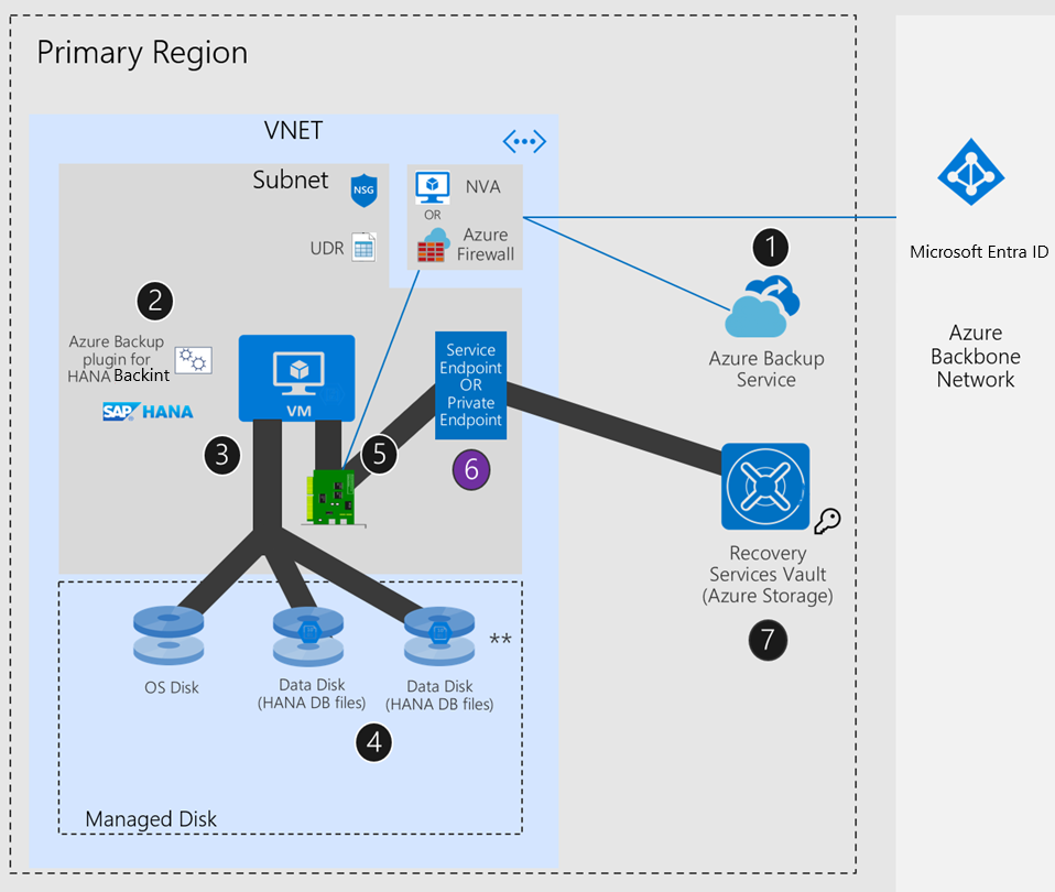 显示 Azure 网络具有 UDR + NVA/Azure 防火墙 + 专用终结点或服务终结点时的 SAP HANA 设置的示意图。