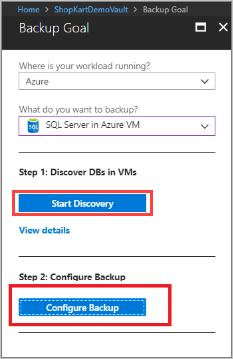 备份目标 - Azure VM 中的 SQL Server