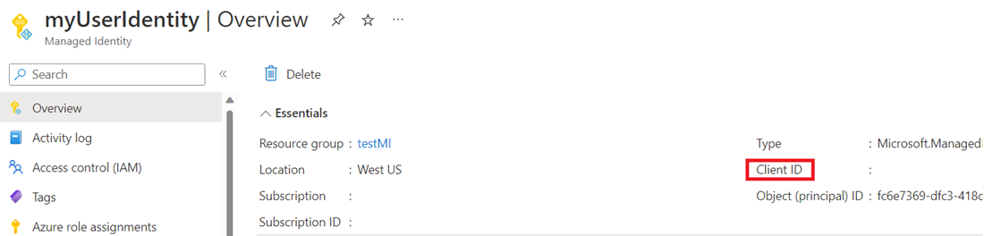 用户分配的托管标识资源的屏幕截图，其中显示了客户端 ID 值。