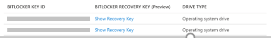 Azure 门户中的 Bitlocker 元数据的屏幕截图。